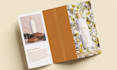 create trifold brochure company flyer design