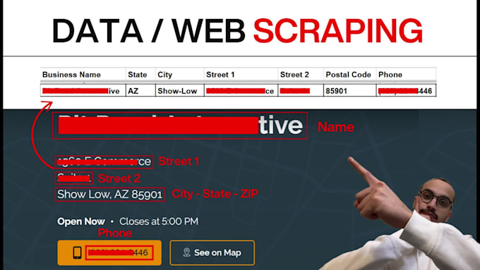 do web scraping, data mining and extraction within 24 hrs