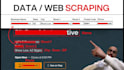 do web scraping, data mining and extraction within 24 hrs