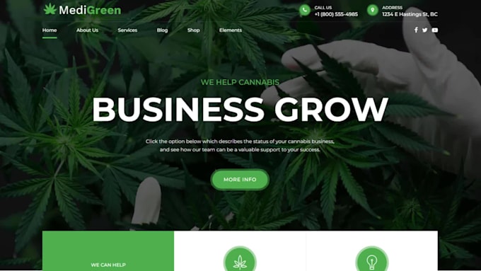 design cannabis website, cbd website, hemp website, weed, and marijuana website