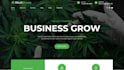 design cannabis website, cbd website, hemp website, weed, and marijuana website