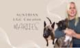 create german dog content for your brand