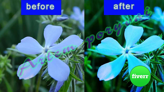 retouching and enhancement 10 photos adobe photoshop