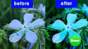 retouching and enhancement 10 photos adobe photoshop