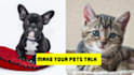 animate your pet or any animal to talk to and lip sync