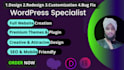 create customize, redesign, bug fix, edit wordpress website