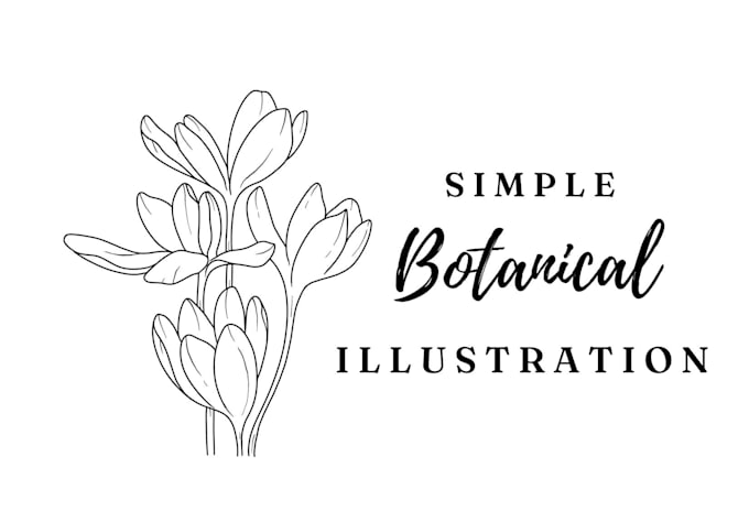 Top 5! I will draw minimalist floral object, fruit, plant illustration