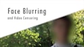 blur faces, objects, or anything else in your video