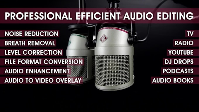 professionally edit clean and fix your audio