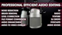 professionally edit clean and fix your audio