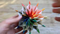 fold and send an  interactive origami model