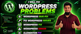 fix wordpress website errors, bugs, and issues