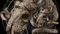 draw a detailed dark art rock gothic illustration