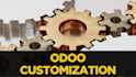 customize odoo erp for your business workflow