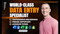 provide precise data entry, copy paste, web research, web scraping, typing