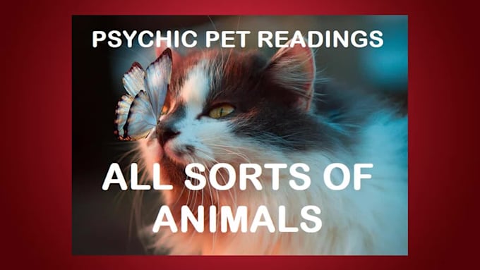 do a psychic animal communication session