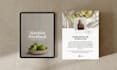 design canva ebook, fillable workbook, lead magnets, catalog and magazine layout