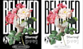 color separations for screen printing, vectorize, dtf, halftone and cmyk