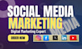 be your social media marketing manager and  content creator