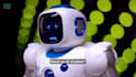 build custom ai agents, ai chatbots and rag systems  for your business