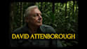 voice a fun energetic david attenborough