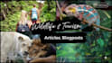 write wildlife, tourism, and travel articles, blog post
