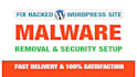 remove malware, clean virus, recover hacked wordpress website