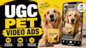 create organic ugc pet video ads that boost sales