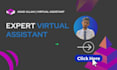 be your professional virtual assistant,social media manager