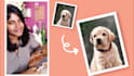 do painterly pet portrait with a short video in 24 hours
