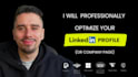 professionally optimize your linkedin profile