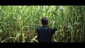 do professional video editing