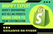 design shopify store, dropshipping store, shopify website