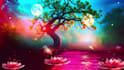 create meditation music videos for sleep, relaxation and healing