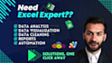 do excel data analysis, data entry, data cleaning and data visualization