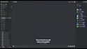 professionally set up fivem discord server