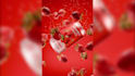 do 3d modelling and 4k photorealistic rendering
