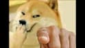do funny gaming video editing for youtube or twitch