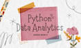 automate python data insights