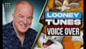 record a classic looney tunes voice over bugs  elmer porky tweety daffy marvin