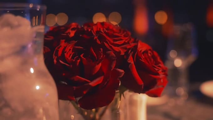 be your videographer in new york city