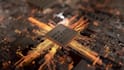 create stunning 3d motion graphic animations