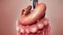 do 3d medical animation video surgery animation surgical model 3d dental video