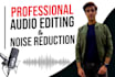 do professional audio editing and noise reduction