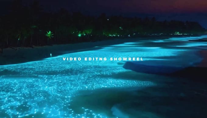 do professional video editing services in 24 hours delivery