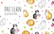 create customized pattern illustration