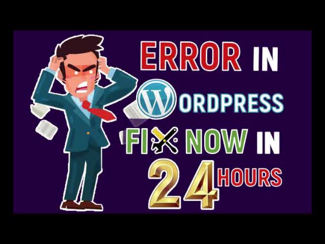 fix wordpress issue, error, bug expertly with in 24 hours