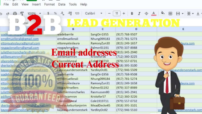 provide b2b lead contact list prospect list building