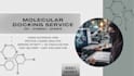 do professional molecular docking and protein ligand analysis