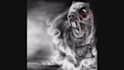 do awesome illustration in realistic tattoo style